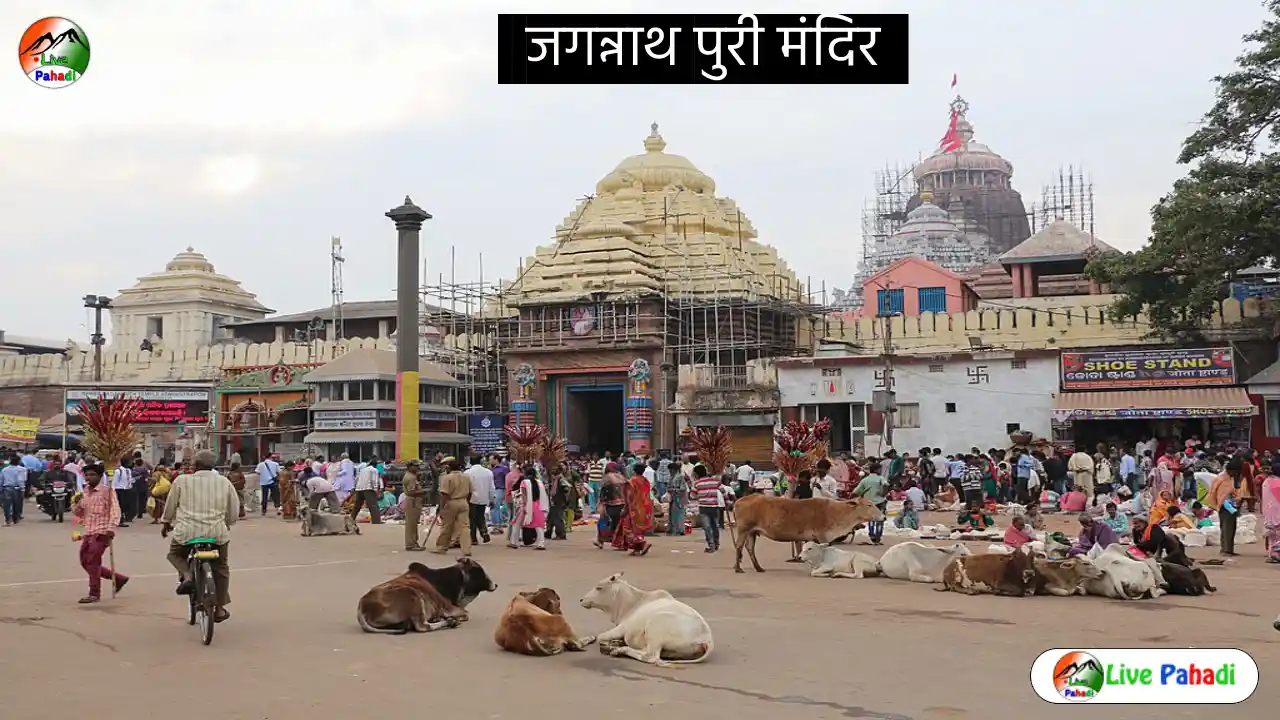 जगन्नाथ पुरी मंदिर कैसे पहुंचे? |  लागत |  समय |  होटल