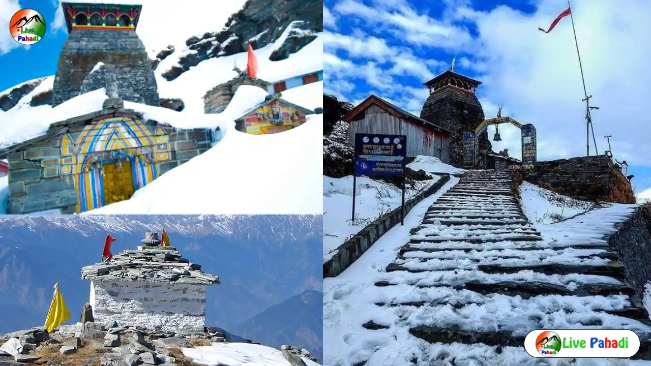 तुंगनाथ कैसे पहुंचे | बेस्ट टाइम | होटल | लागत